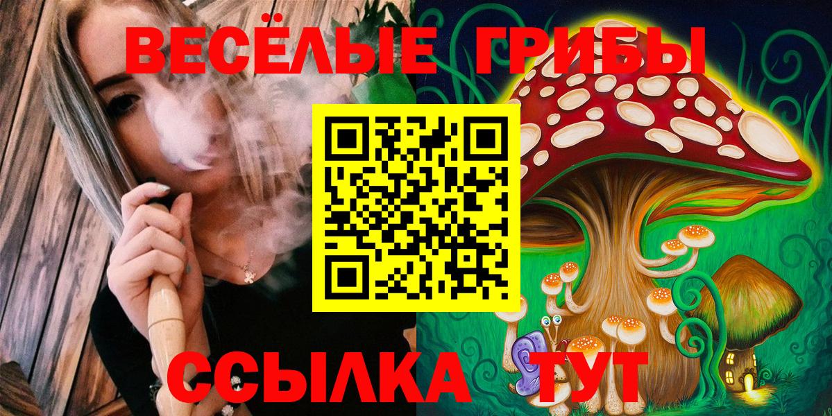 купить наркотик  Галлюциногенные грибы GOLDEN TEACHER  Вход с VPN  Пенза  Псилоцибиновые грибы мухоморы 